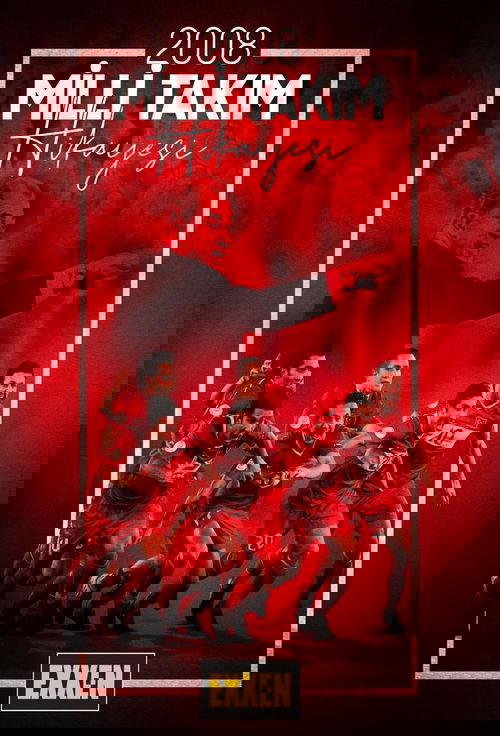 2008 Milli Takım Hikayesi